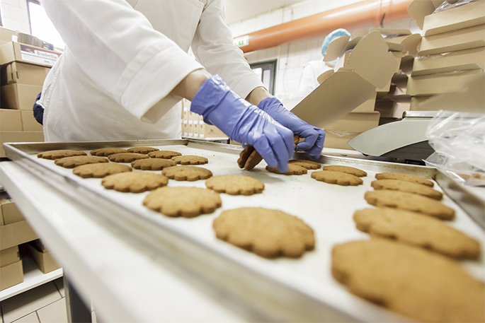 Biscuit Processing Machinery Supplier 