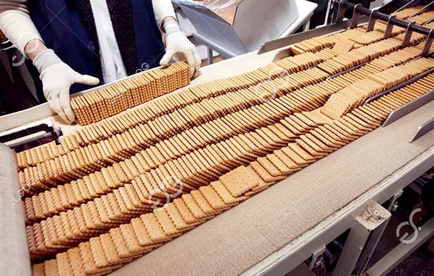 How Are Biscuits Processed? - Entire Processing Technology