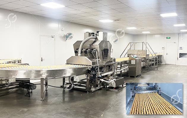 Biscuit Production Line Manufacturer GELGOOG