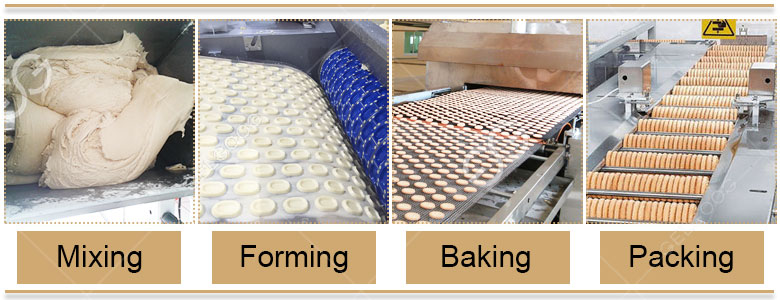 Biscuit Production Line Biscuit Production Line