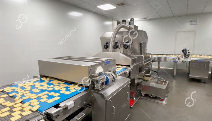 High Quality Bear Biscuit Production Line