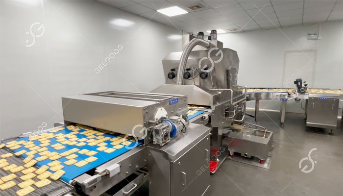 High Quality Bear Biscuit Production Line High Quality Bear Biscuit Production Line