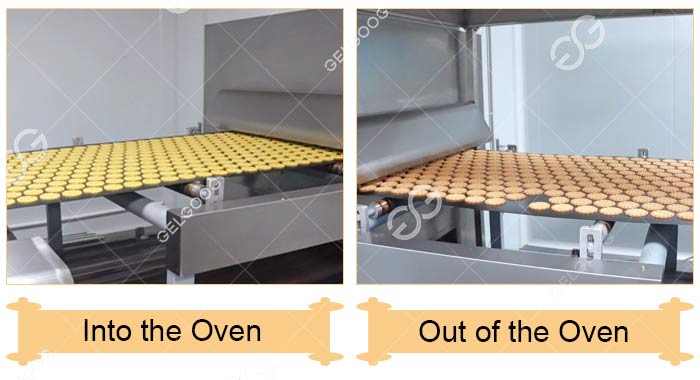 Biscuit Line - Baking Oven Biscuit Line - Baking Oven