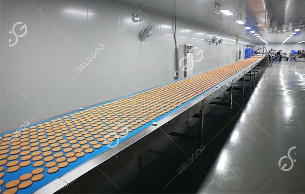 Automatic Machine for Biscuit Industry Automatic Machine for Biscuit Industry