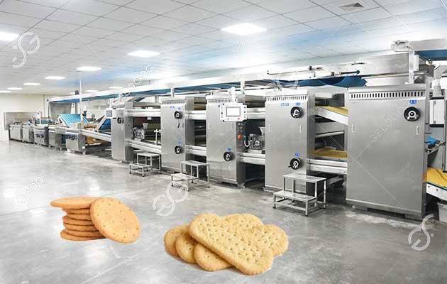 Processing Line for Tea Biscuits