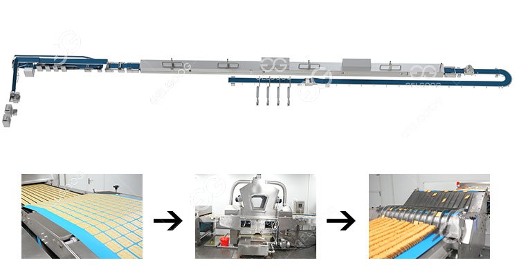 Biscuit Processing Line Manufacturer Biscuit Processing Line Manufacturer